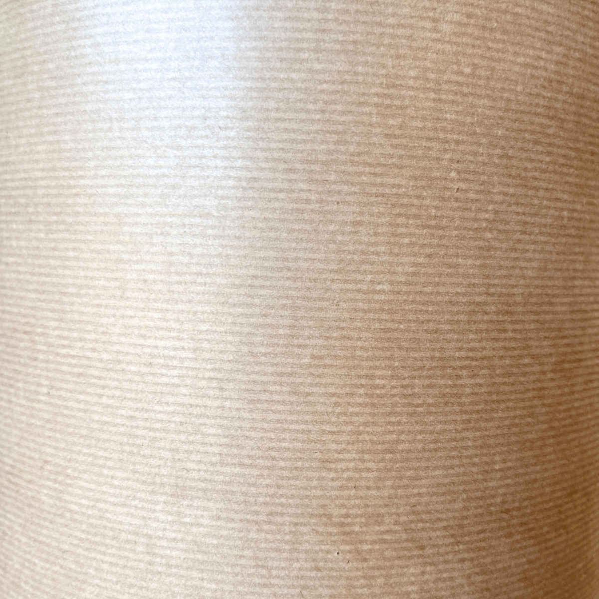 Paper kraft natural (miniatura)